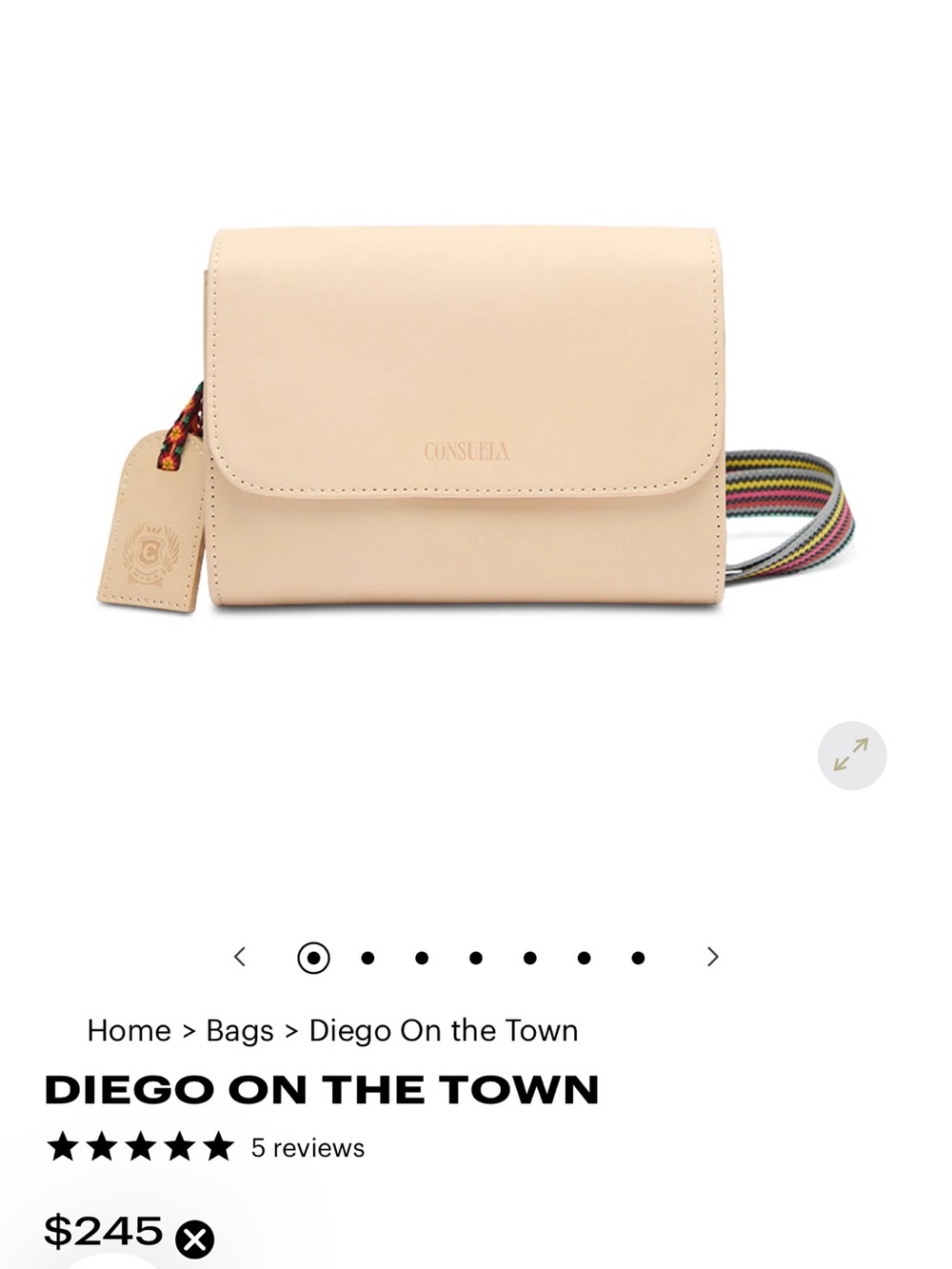 Consuela Diego OnThe Town Leather Crossbody with Bright Multicolor Woven Strap - Picture 6 of 6